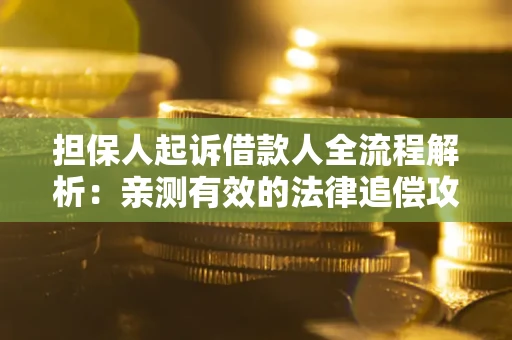 济南担保人起诉借款人全流程解析：亲测有效的法律追偿攻略