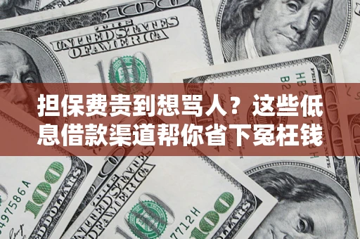济南担保费贵到想骂人？这些低息借款渠道帮你省下冤枉钱