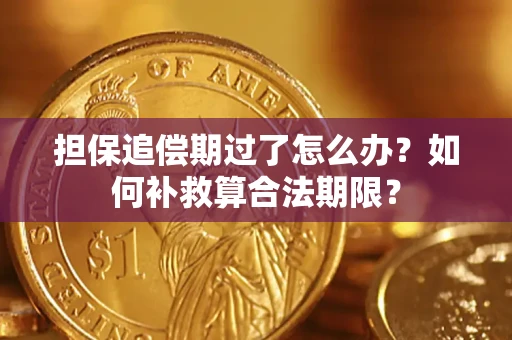 济南担保追偿期过了怎么办？如何补救算合法期限？