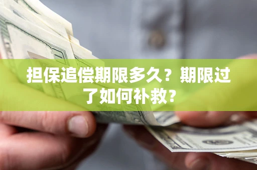 济南担保追偿期限多久？期限过了如何补救？