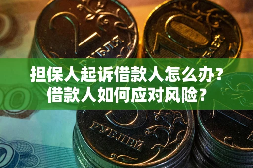 济南担保人起诉借款人怎么办？借款人如何应对风险？