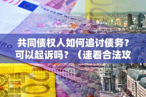 济南共同债权人如何追讨债务？可以起诉吗？（速看合法攻略）